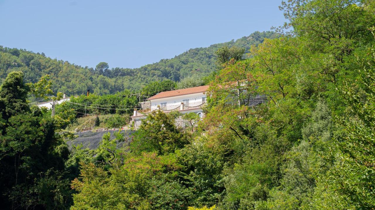 Tra Sole E Limoni Apartments Tramonti Luaran gambar
